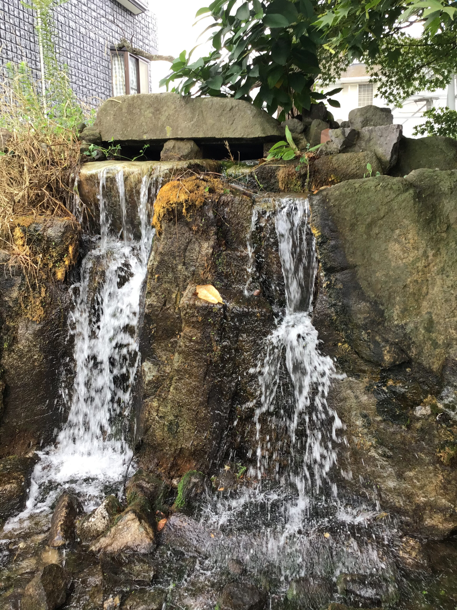 湧き水？を見に行こう 愛知県半田市長泥の径 | アヒルノヒカリの旅日記